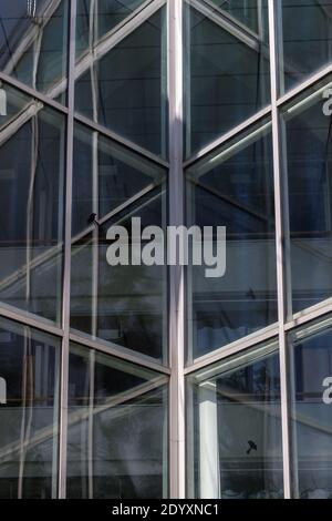 Glasfassade in einem Bürogebäude Stockfoto