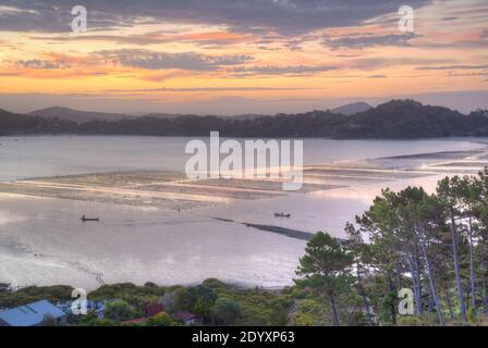 Sonnenuntergang Blick auf eine Fischfarm in der Nähe von coromandel Stadt Neuseeland Stockfoto