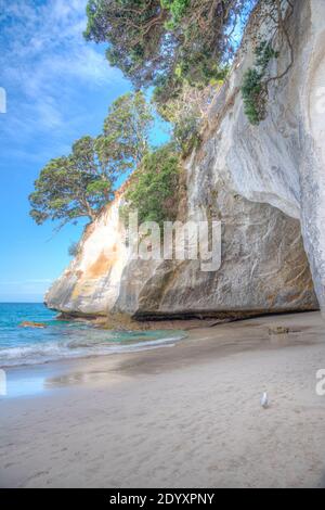 Cathedral Cove auf der Halbinsel Coromandel in Neuseeland Stockfoto