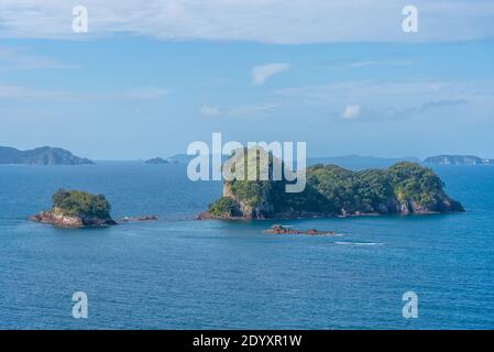 TE Hoho Rock auf der Halbinsel Coromandel in Neuseeland Stockfoto