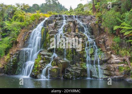 Owharoa fällt in Neuseeland Stockfoto