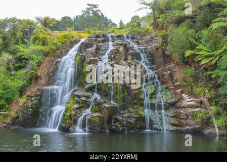 Owharoa fällt in Neuseeland Stockfoto