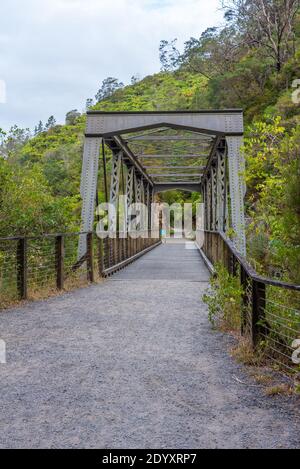 Ehemalige Eisenbahnbrücke in der Karangahake Gorge in Neuseeland Stockfoto