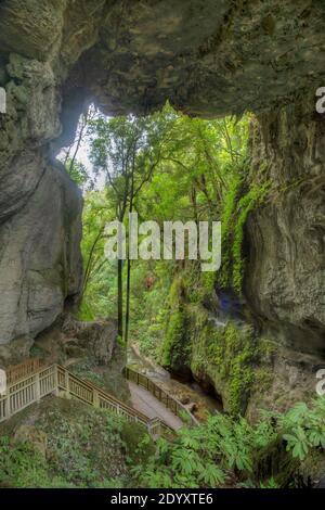 Mangapohue Natural Bridge in Neuseeland Stockfoto