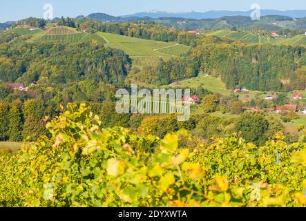 Weinberge entlang der südsteirischen Weinstraße, eine charmante Region an der Grenze zwischen Österreich und Slowenien mit grünen Hügeln, Weinberge, malerisch Stockfoto