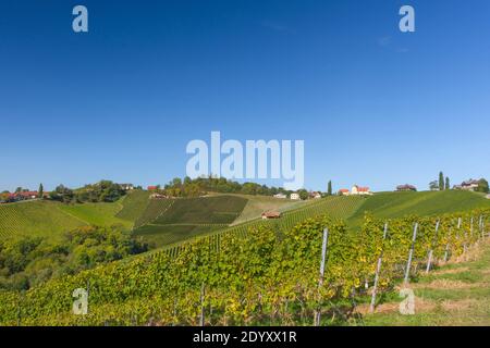 Weinberge entlang der südsteirischen Weinstraße, eine charmante Region an der Grenze zwischen Österreich und Slowenien mit grünen Hügeln, Weinberge, malerisch Stockfoto