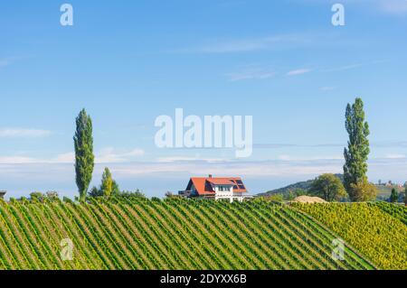 Weinberge entlang der südsteirischen Weinstraße, eine charmante Region an der Grenze zwischen Österreich und Slowenien mit grünen Hügeln, Weinberge, malerisch Stockfoto