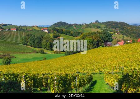 Weinberge entlang der südsteirischen Weinstraße, eine charmante Region an der Grenze zwischen Österreich und Slowenien mit grünen Hügeln, Weinberge, malerisch Stockfoto