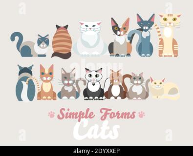 Flache Katzen Familie isoliert Vektor-Set. Lange Banner Cartoon Illustration Hauskatzen Stock Vektor