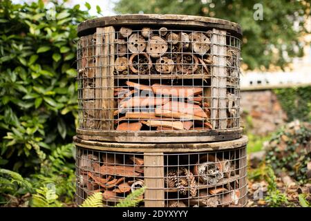 Ein von Männern angemachtes "Bug Hotel" auf dem Gelände der Bristol University, Bristol, Großbritannien. Stockfoto