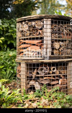 Ein von Männern angemachtes "Bug Hotel" auf dem Gelände der Bristol University, Bristol, Großbritannien. Stockfoto