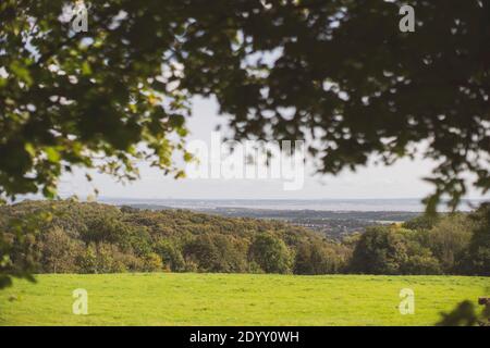 Blick über Bauernhöfe und den Fluss Severn von Wales aus mit der Prince of Wales Bridge (Severn Bridge) und der Küste Englands in der Ferne. Stockfoto