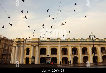 27. April 2012 St. Petersburg, Russland. Tauben über dem Gostiny Dvor Gebäude am Newski Prospekt in St. Petersburg. Stockfoto