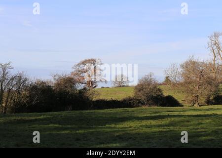 Ländliche Landschaften, aufgenommen auf einem lokalen Bauernhof neben einem öffentlichen Fußweg Winter 2020 Stockfoto