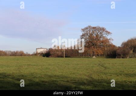 Ländliche Landschaften, aufgenommen auf einem lokalen Bauernhof neben einem öffentlichen Fußweg Winter 2020 Stockfoto