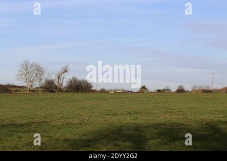 Ländliche Landschaften, aufgenommen auf einem lokalen Bauernhof neben einem öffentlichen Fußweg Winter 2020 Stockfoto