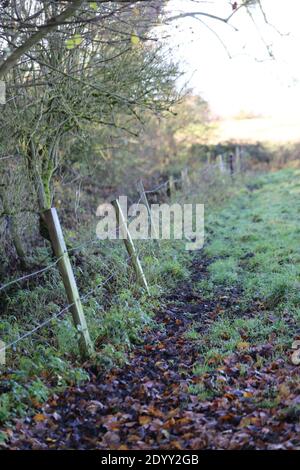 Ländliche Landschaften, aufgenommen auf einem lokalen Bauernhof neben einem öffentlichen Fußweg Winter 2020 Stockfoto