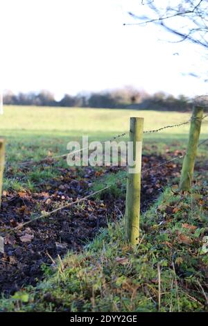 Ländliche Landschaften, aufgenommen auf einem lokalen Bauernhof neben einem öffentlichen Fußweg Winter 2020 Stockfoto