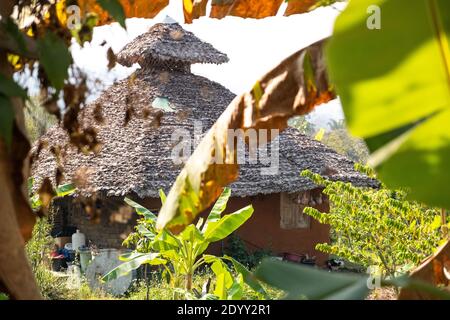 Blick auf eine thailändische Dorfhütte durch Bananenstauden. Pai, Thailand Stockfoto