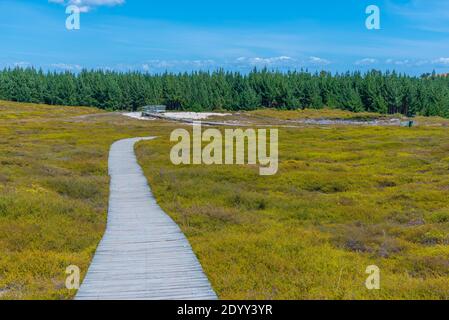 Krater des Mondes - eine geothermische Landschaft bei New Seeland Stockfoto