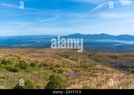 See Rotoaira in Neuseeland Stockfoto