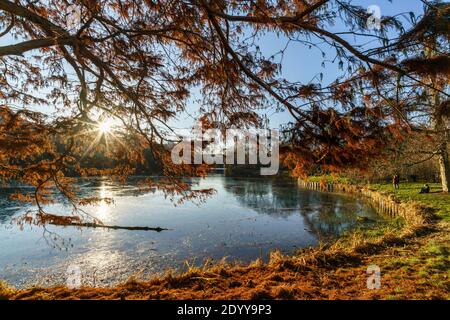 Lietzensee in Berlin-Charlottenburg im Dezember 2020 , Gegenlicht, Ufer, Baeume, Berlin, Deutschland Stockfoto