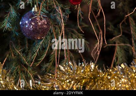 Weihnachtsbaum mit gefallenen Kiefernnadeln vergießen von den Zweigen mit Dekorationen. Kopieren Raum im Hintergrund Stockfoto