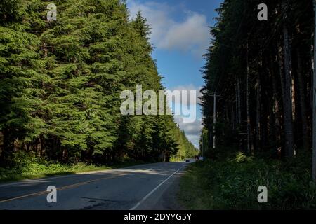 Wolken und blauer Himmel durch den Wald Highway gesehen - Pazifik Regenwald, BC, Kanada. Die Regenwälder der Vancouver Insel zwischen Ucluelet und To Stockfoto