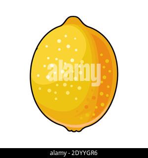 Zitronenfrucht. Das isolierte Objekt auf weißem Hintergrund. Reif. Flacher Cartoon-Stil. Abbildung. Stockfoto
