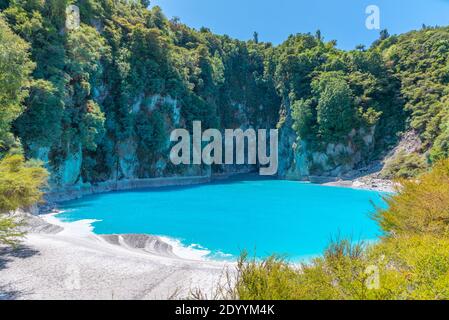 Inferno Kratersee im Waimangu vulkanischen Tal in Neuseeland Stockfoto