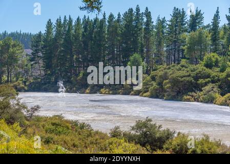 Geothermische Landschaft von Wai-o-Tapu, Neuseeland Stockfoto