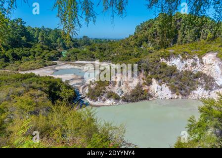 Geothermische Landschaft von Wai-o-Tapu, Neuseeland Stockfoto