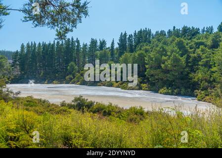 Geothermische Landschaft von Wai-o-Tapu, Neuseeland Stockfoto