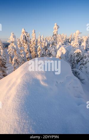 Winterlandschaft im Koli Nationalpark, Finnland. Stockfoto