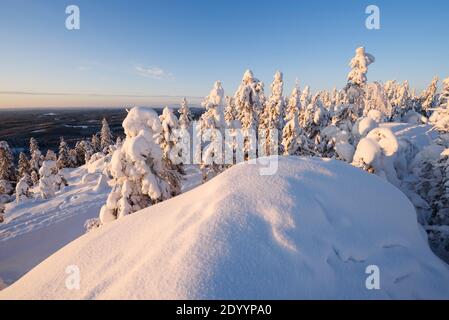 Winterlandschaft im Koli Nationalpark, Finnland. Stockfoto