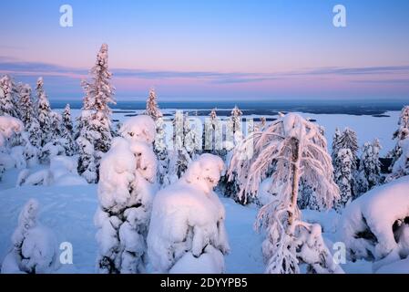 Winterlandschaft im Koli Nationalpark in Finnland Stockfoto