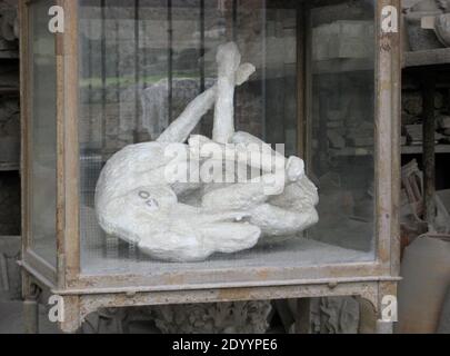 Cast von Hund oder Tier Opfer von der Eruption Vom Vesuv auf Pompeji in Neapel Italien Stockfoto