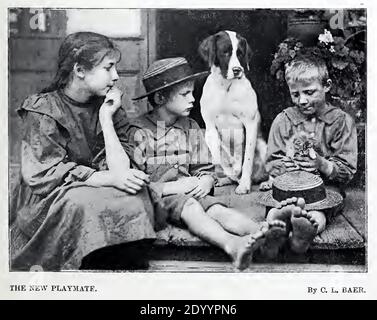 Vintage-Foto von C L Baer von einem kleinen Jungen, der ein Kätzchen hält, während zwei Mädchen und ein Haustier Hund aufschauen. Stockfoto