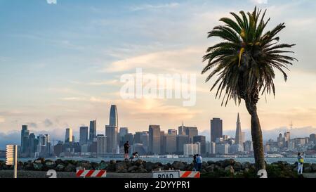 San Francisco, California, USA - August 2019: Skyline von San Francisco bei Sonnenuntergang mit Touristen und einer großen Palme Stockfoto