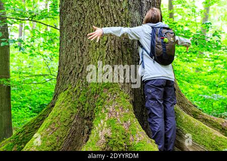 Eine Frau umarmt einen Baum, Baum baden, Gefühl releax, deutschland Eichenwald Stockfoto