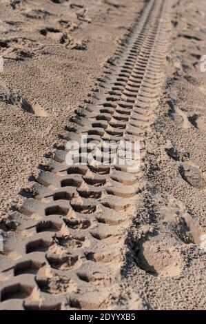 Reifenspuren auf dem Sand Stockfoto