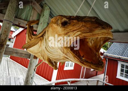 Nusfjord, Flakstad, Norwegen Norwegen, Lofoten, Trockenfisch Stockfoto