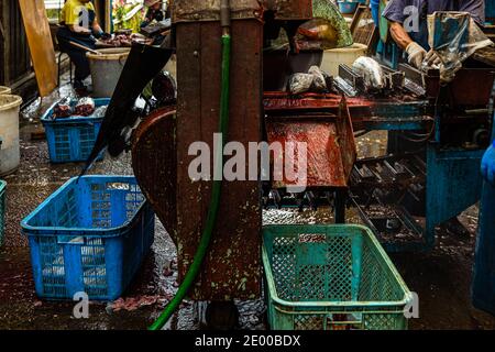 Yasuhisa Serizawa ist katsuobushi Herstellen, bei Nishiizu-Cho, Shizuoka, Japan Stockfoto