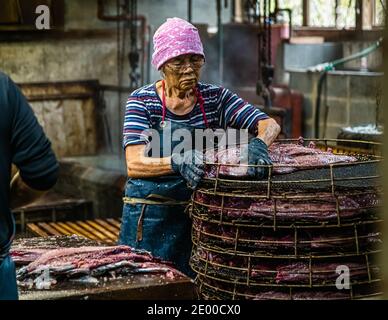 Yasuhisa Serizawa ist katsuobushi Herstellen, bei Nishiizu-Cho, Shizuoka, Japan Stockfoto