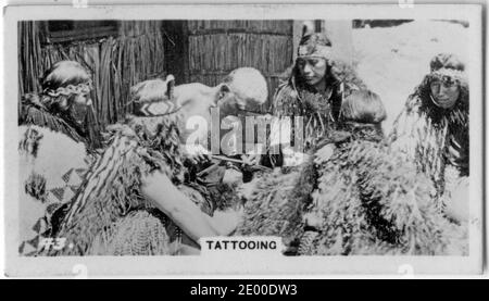 Ein Maori-Ältester, der ein Tattoo tätowiert, während eine Gruppe von Frauen aufpasst, aus einer Zigarettenkarte über die neuseeländische Geschichte, um 1930 Stockfoto