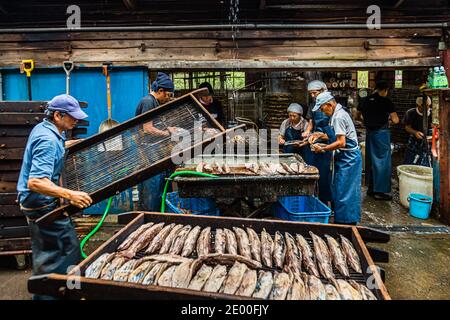 Yasuhisa Serizawa ist katsuobushi Herstellen, bei Nishiizu-Cho, Shizuoka, Japan Stockfoto