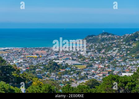 Luftaufnahme des Vororts Wellington in Neuseeland Stockfoto