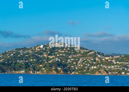 Wohnhäuser rund um Wellington, Neuseeland Stockfoto