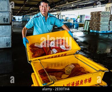 Kinmedai (Goldener Schnapper) bei der Fischauktion in Yaidu, Japan Stockfoto