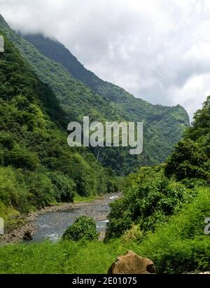 Berge kurz nach einem kurzen Regen Dusche einen Wasserfall in der Ferne und ein Bach fließt vorbei. Naturpark Te Faaiti, Tahiti. Papenoo Valley. Stockfoto